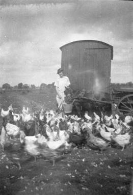 A black and white photo of an office

Description automatically generated